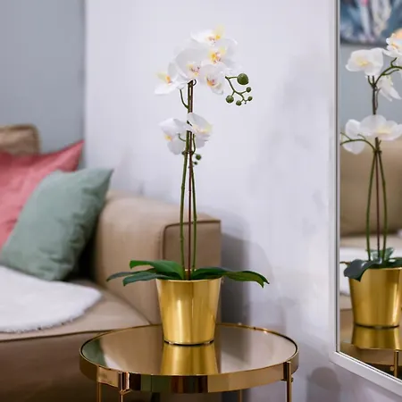 Appartement Amethyst - Kadar Budapest